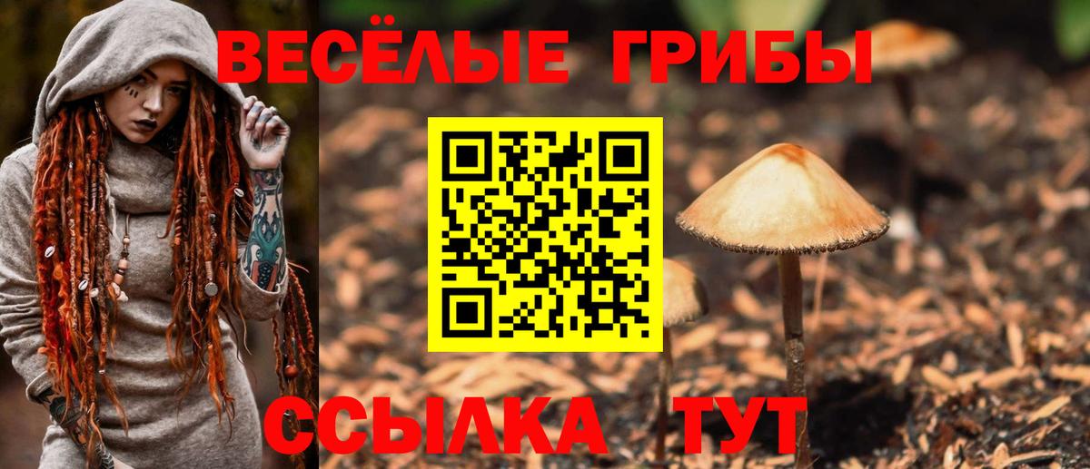 Галлюциногенные грибы Magic Shrooms  Вход с VPN  Черногорск 