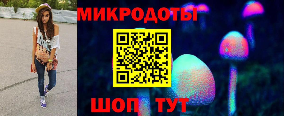 Галлюциногенные грибы Cubensis Черногорск